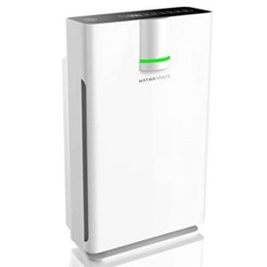 1. HATHASPACE HSP002 - Best Air Purifier for Radon