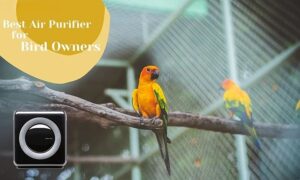 7 Best Air Purifiers for Bird Owners in 2025